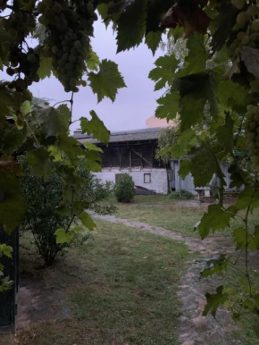 Izolovana kuća u Temerinskoj ulici